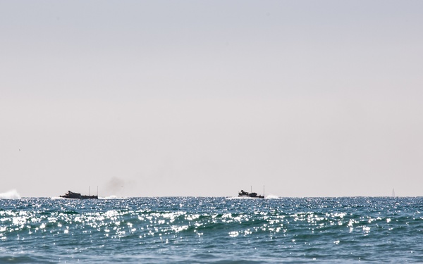 Iron Fist 2020: JGSDF PHIBLEX