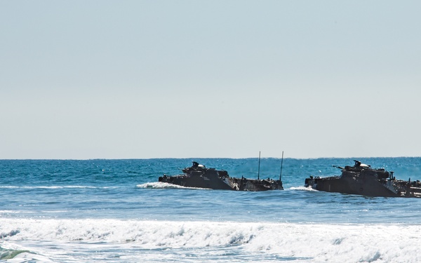 Iron Fist 2020: JGSDF PHIBLEX