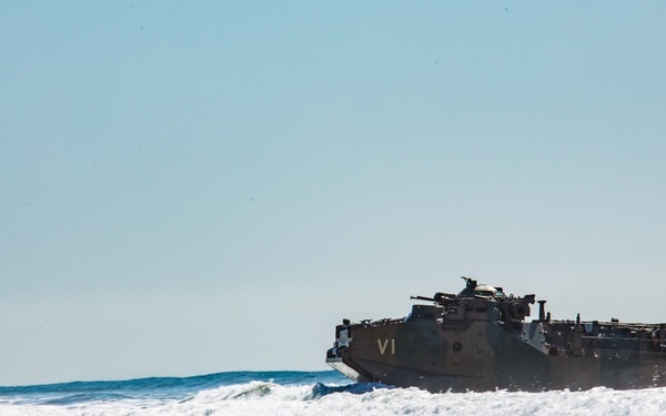 Iron Fist 2020: JGSDF PHIBLEX