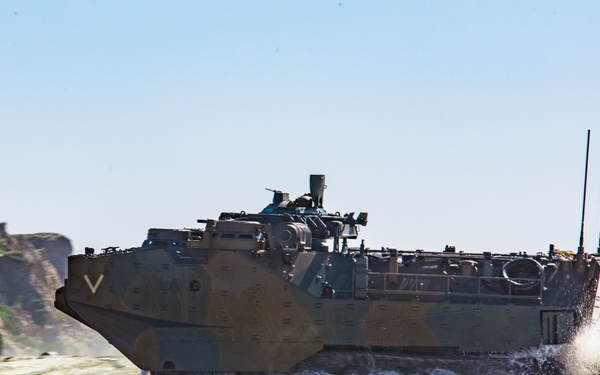 Iron Fist 2020: JGSDF PHIBLEX