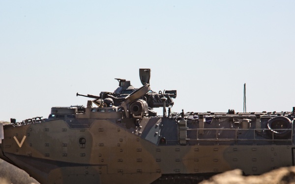 Iron Fist 2020: JGSDF PHIBLEX