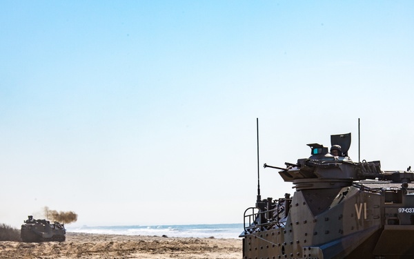 Iron Fist 2020: JGSDF PHIBLEX