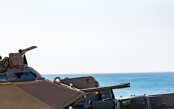 Iron Fist 2020: JGSDF PHIBLEX