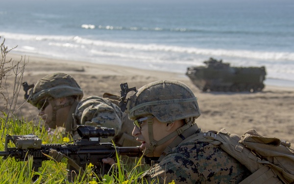 Iron Fist 2020: US &amp; JGSDF PHIBLEX