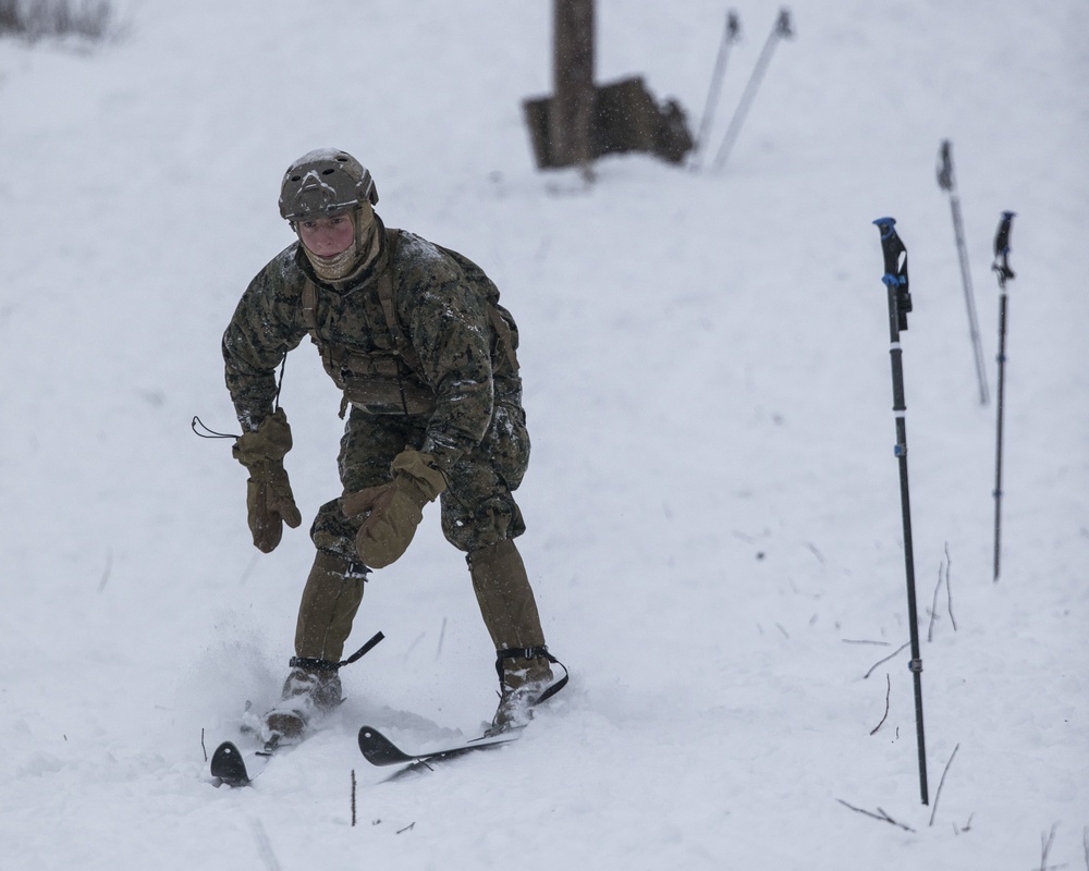 SPMAGTF-AE: 1st Reconnaissance Battalion ski training