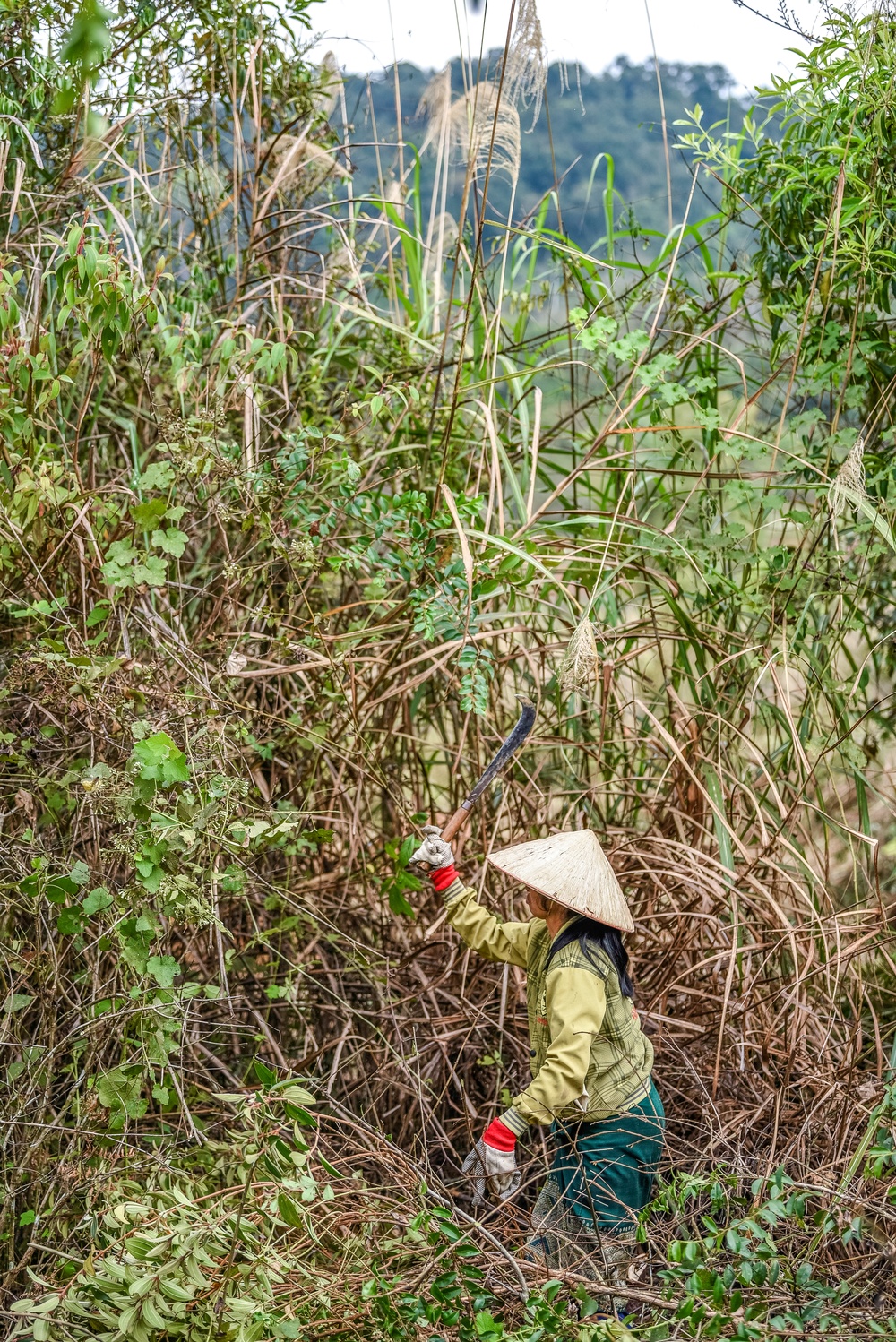 25 Years Later, Lao Village Chief Completes Second Recovery Mission