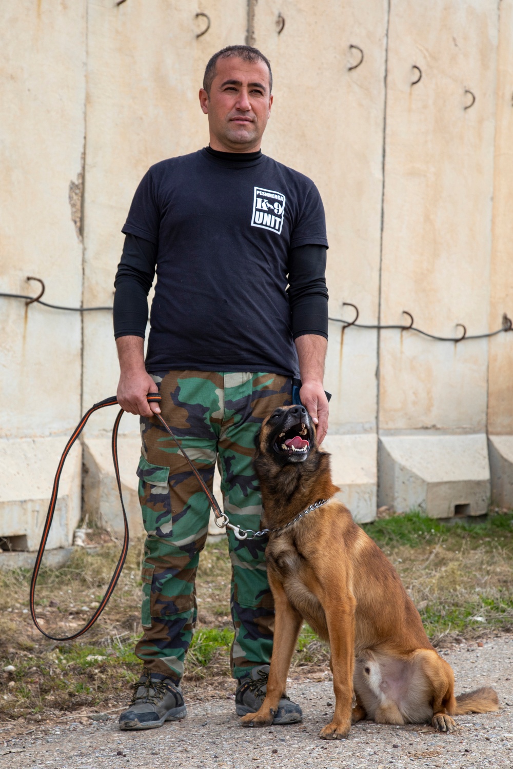 Peshmerga soldiers train mine detection dogs