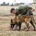 Peshmerga soldiers train mine detection dogs
