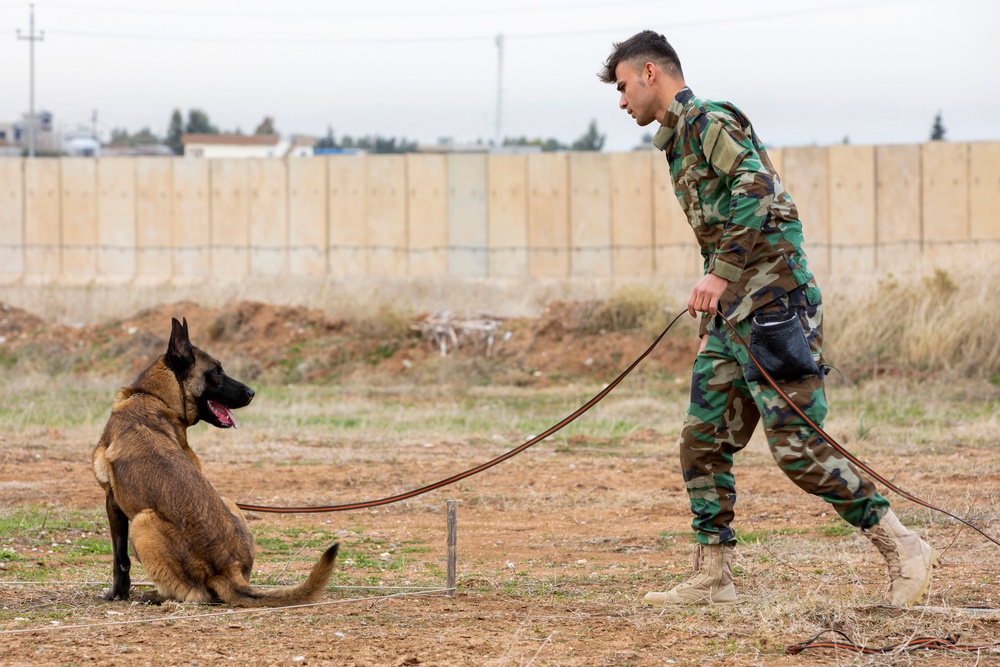 Peshmerga soldiers train mine detection dogs