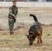Peshmerga soldiers train mine detection dogs