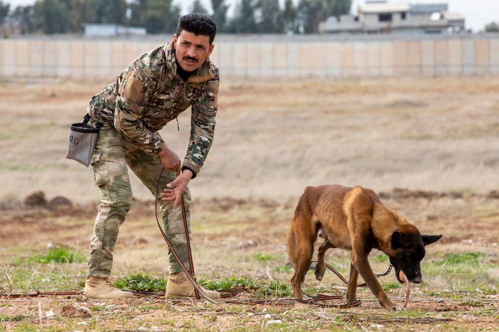 Peshmerga soldiers train mine detection dogs