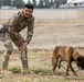 Peshmerga soldiers train mine detection dogs