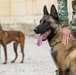 Peshmerga soldiers train mine detection dogs