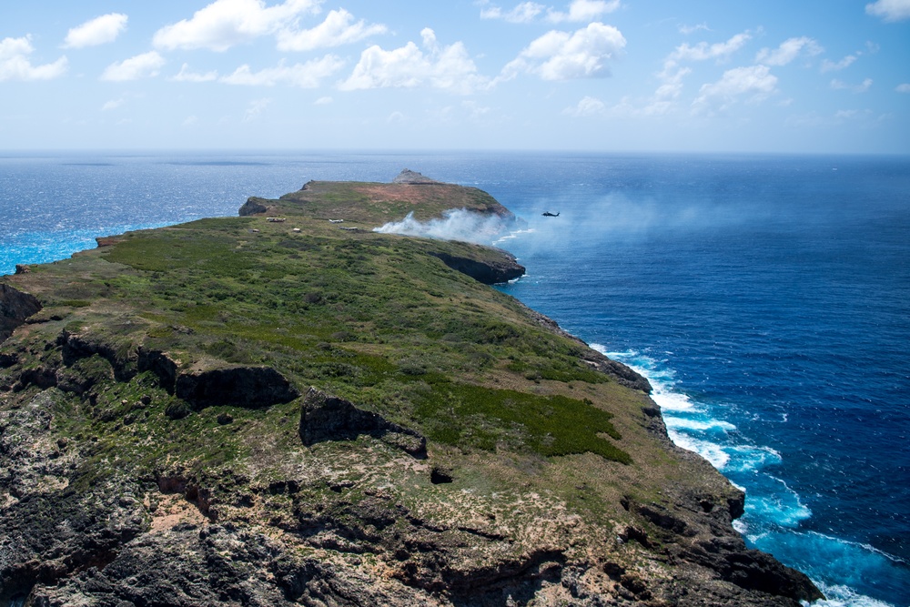 US, Japan conduct Joint Close Air Support during Cope North 20