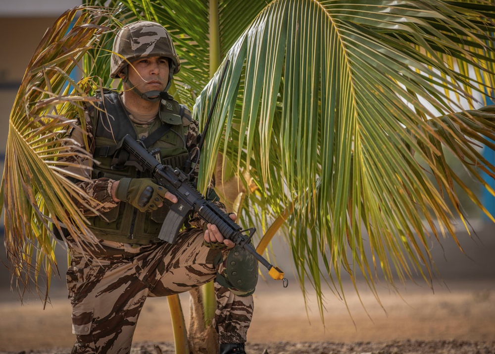 Partner forces enhance readiness during Flintlock 20