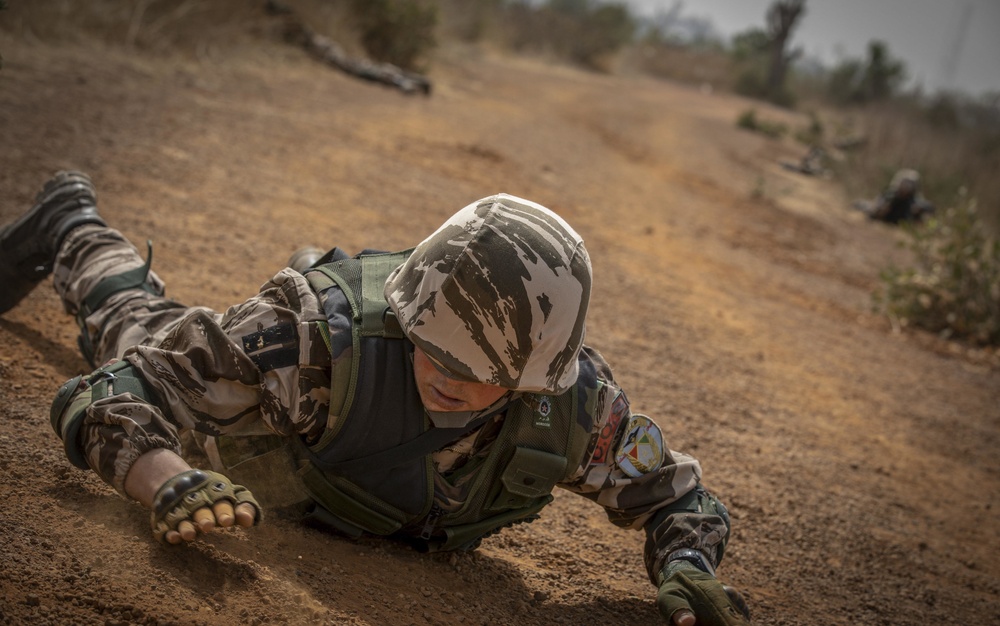 Partner forces enhance readiness during Flintlock 20