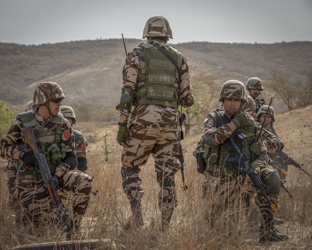 Partner forces enhance readiness during Flintlock 20