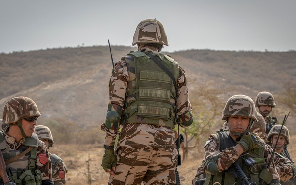 Partner forces enhance readiness during Flintlock 20