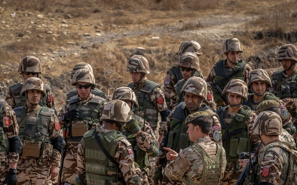 Partner forces enhance readiness during Flintlock 20