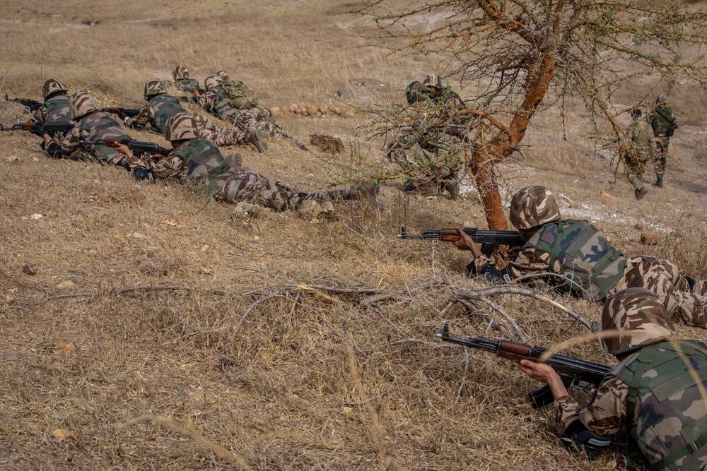 Partner forces enhance readiness at Flintlock 20