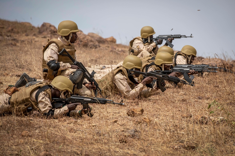 Partner forces enhance readiness at Flintlock 20