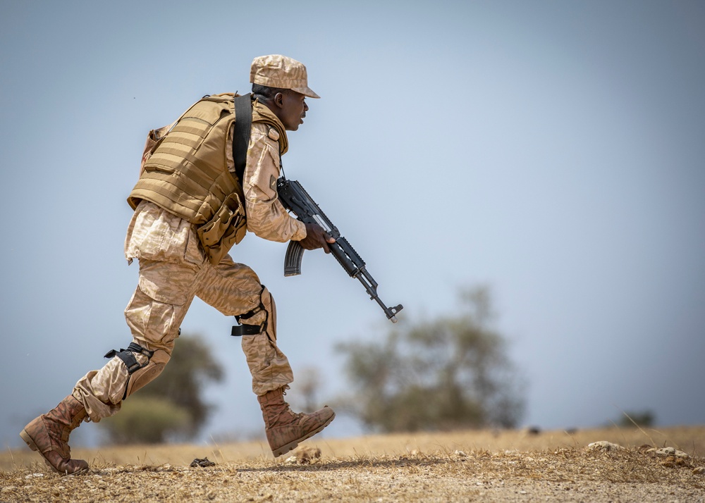 Partner forces enhance readiness at Flintlock 20