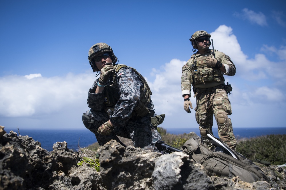 DVIDS - Images - Joint close air support training during Exercise Cope ...