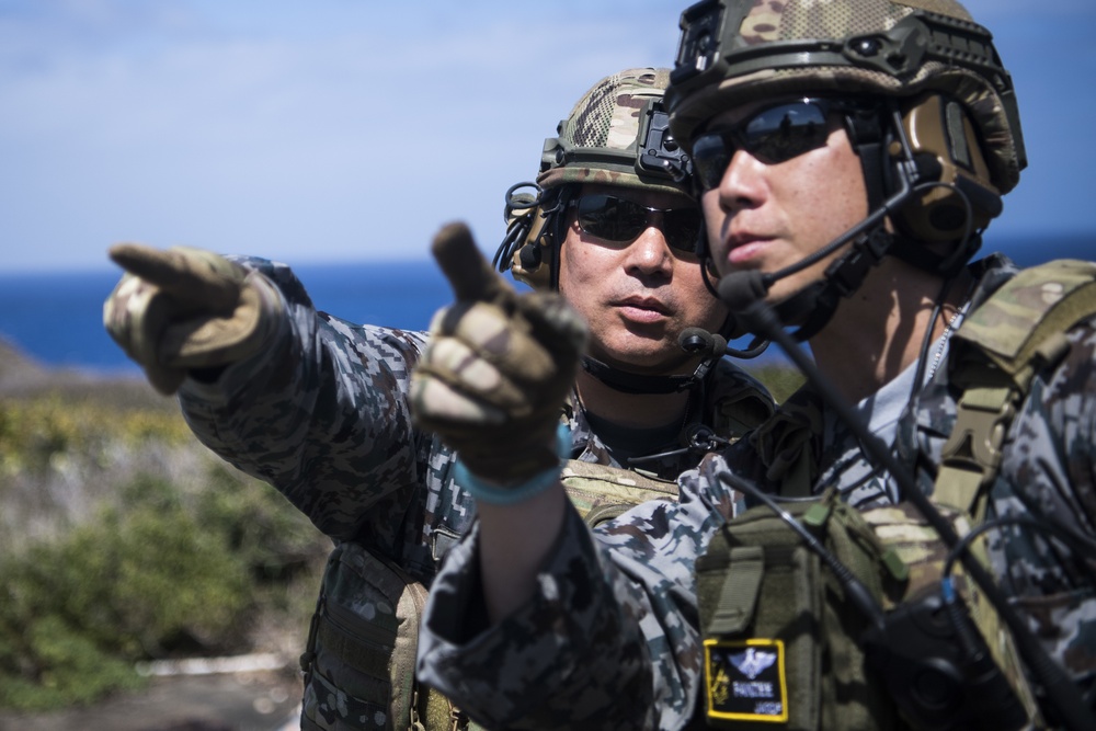 Joint close air support training during Exercise Cope North 20