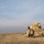 A Co, 1-5CAV conducts CALFEX