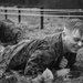 Corporals Course 615-20 NATO Course