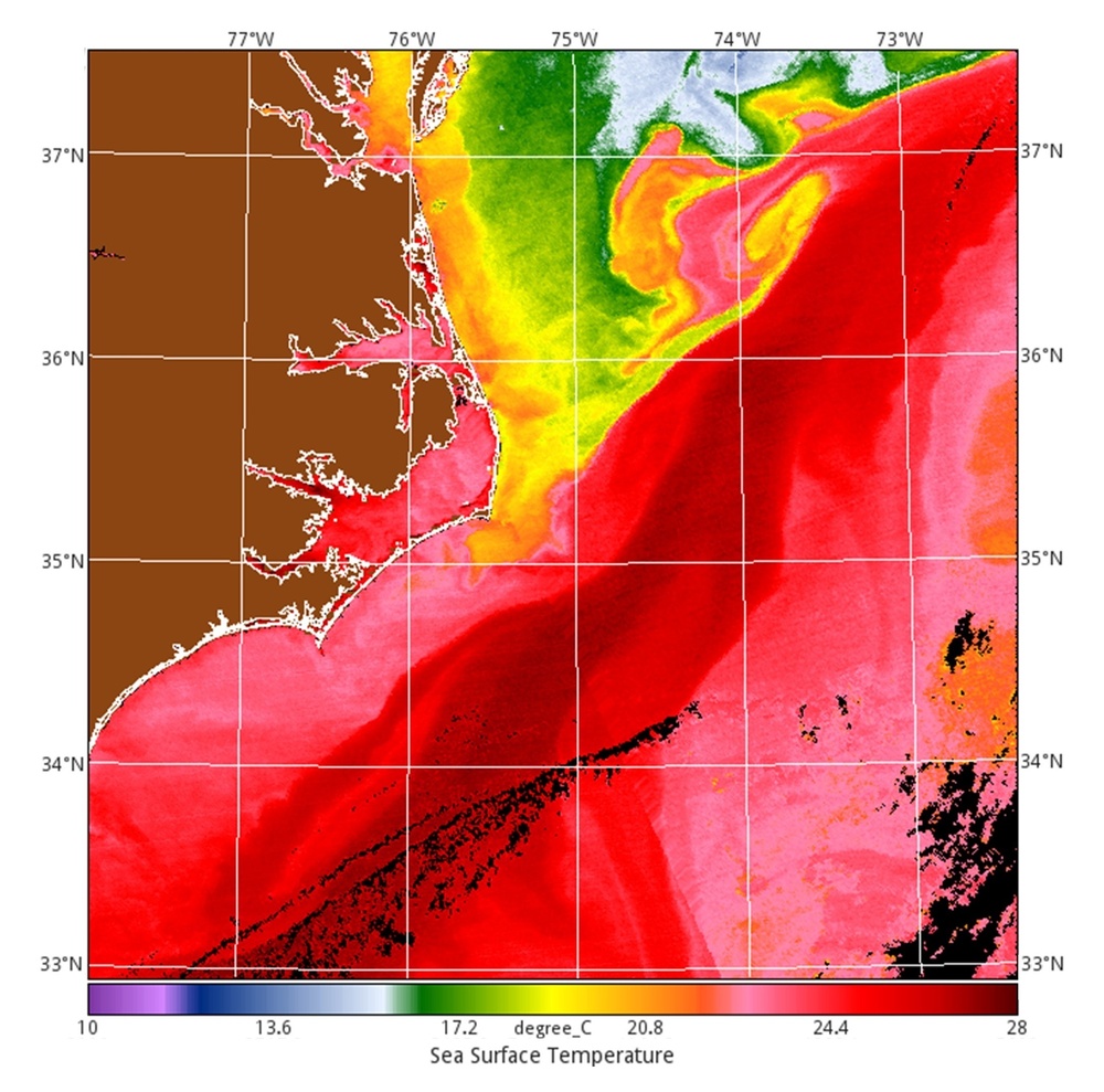 Smart Sea Gliders improve Ocean Observation and Ocean Prediction