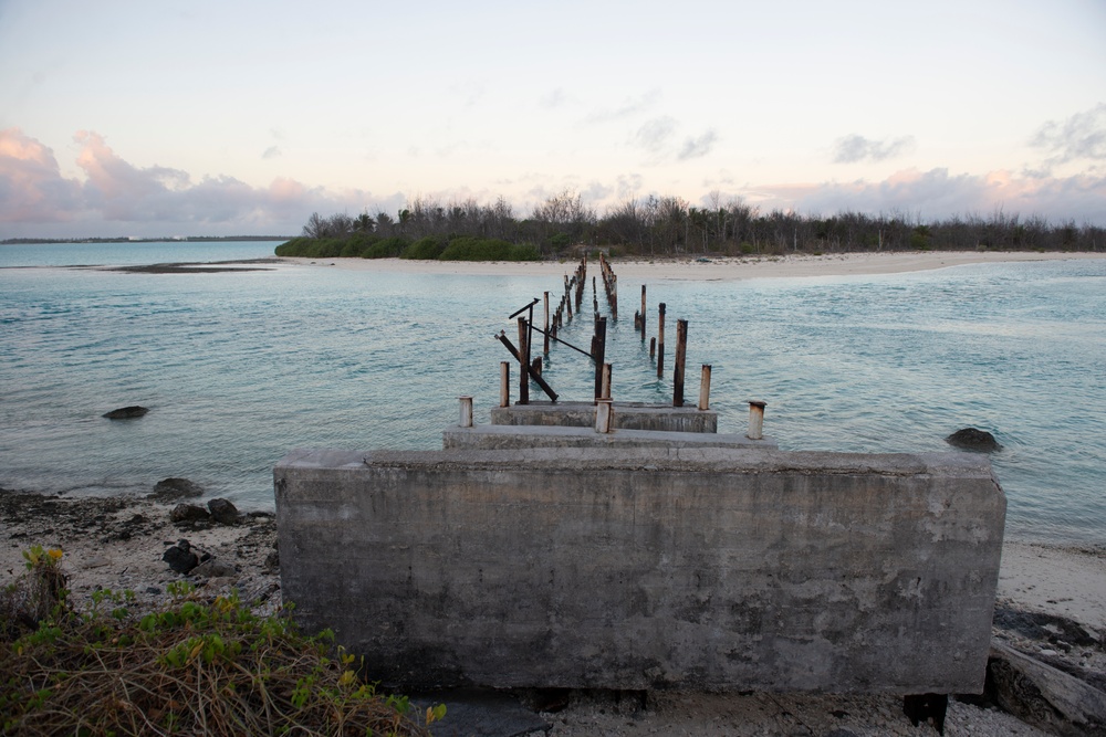 Airstrikes to bird strikes: historic island tackles new battle