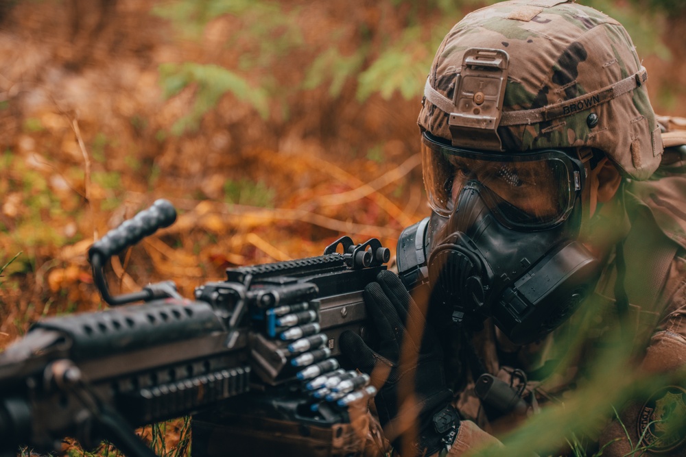 Iron Troop 3/2 CR Soldiers complete squad level training during eFP