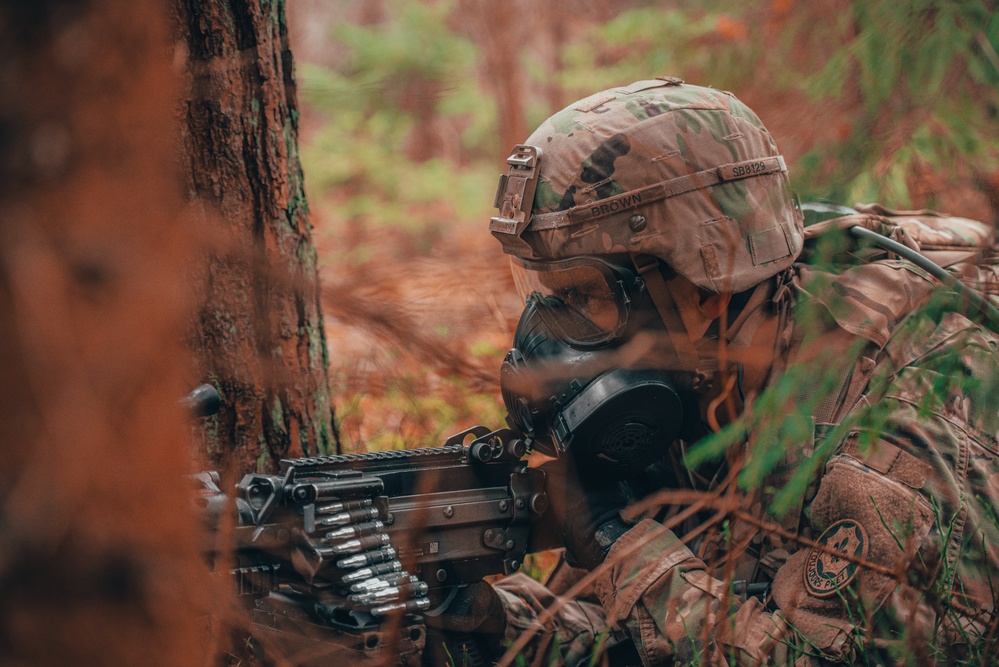 Iron Troop 3/2 CR Soldiers complete squad level training during eFP