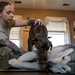 Dogs Equal Family