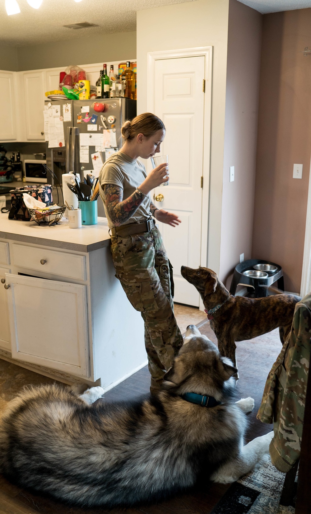 Dogs Equal Family