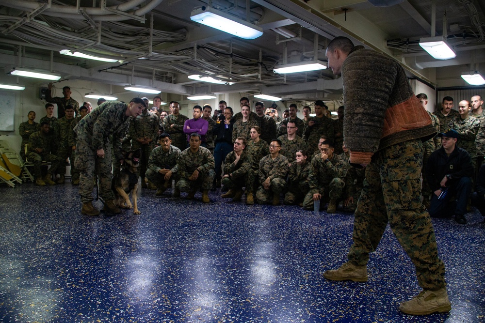 Sick’em! Military working dog handler demonstrates capabilities during Corporals Course