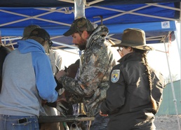 Pronghorn gather helps revitalize the population