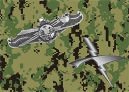 Navy’s Cryptologic Technician (Networks) Sailors, Ever-Evolving for Readiness and Lethality