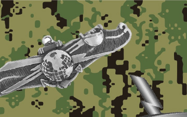 Navy Cryptologic Technician (Networks) Sailors, Ever-Evolving for Readiness and Lethality