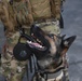 Defenders work with military working dogs