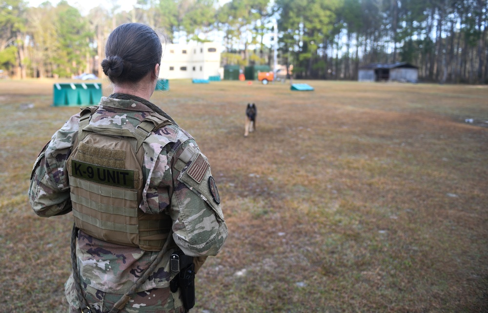 Defenders work with military working dogs
