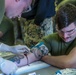 Field Medical Training Battalion practices intravenous needle administration