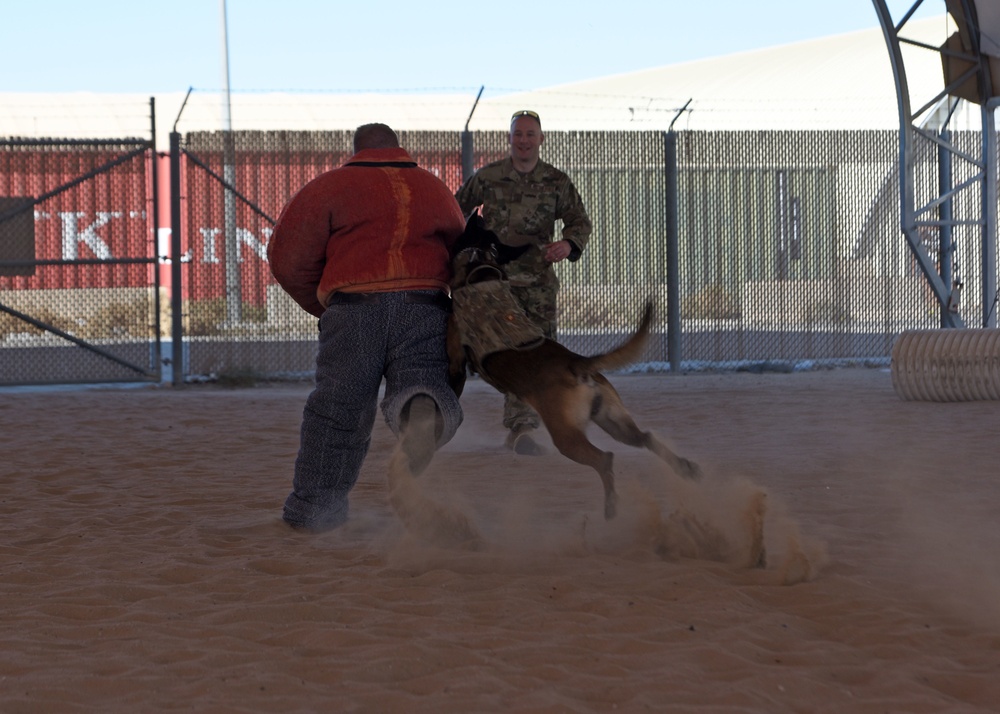 In Your Boots: 386th ESFS MWD