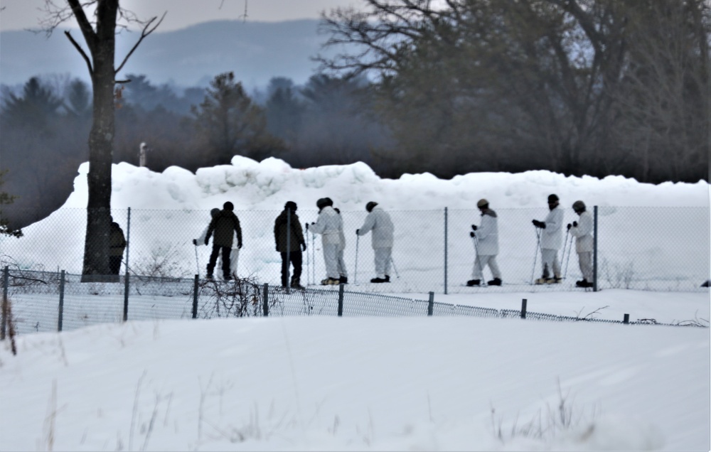 Cold-Weather Operations Course Class 20-03 students learn skiing techniques at Fort McCoy