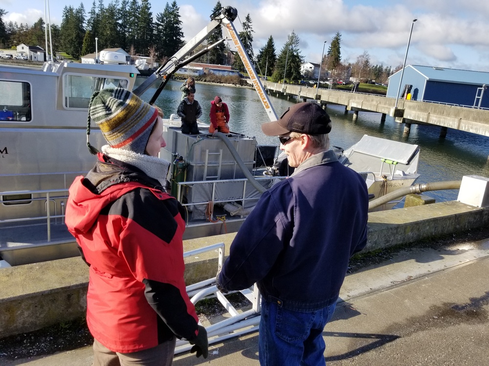 Coho Salmon Transfer