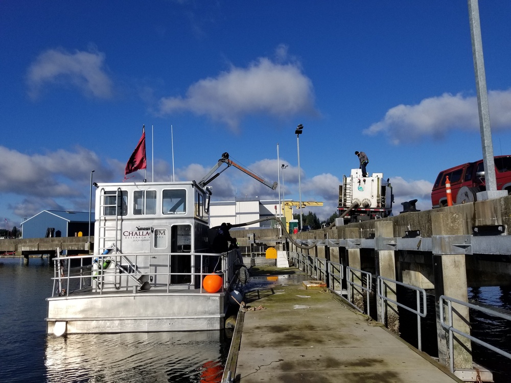 Coho Salmon Transfer