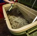 Local fish club releases salmon into Beaver Creek on Naval Base Kitsap-Manchester