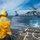 Williams Conducts Operations in the Atlantic