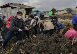 MCAS Iwakuni residents attend Lotus Root Digging Experience